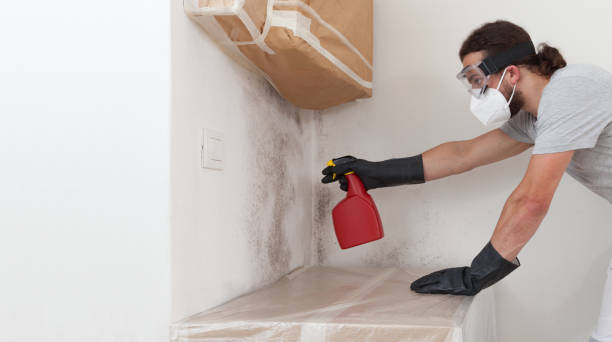 Professional Attic Mold Remediation technician working in Livingston, NJ