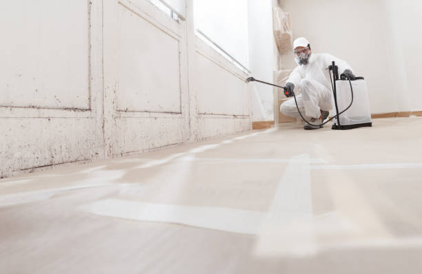 24/7 Emergency Attic Mold Remediation experts in Livingston, NJ